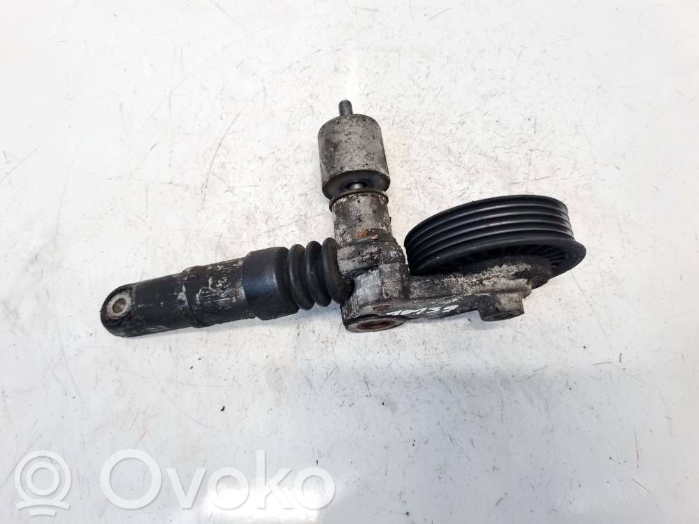 Volkswagen PASSAT B5.5 Întinzător curea generator/alternator 