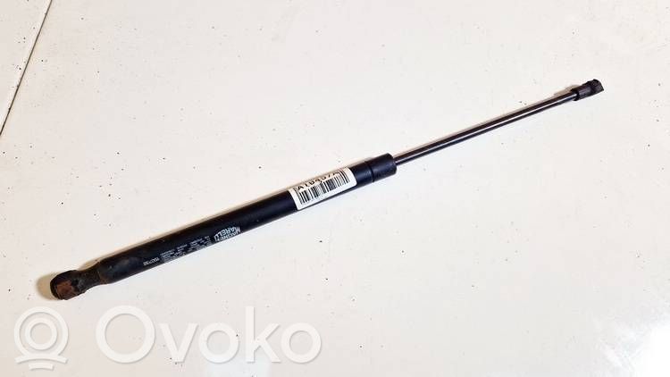 Volkswagen Golf V Gasdruckfeder Dämpfer Heckklappe Kofferraumdeckel 