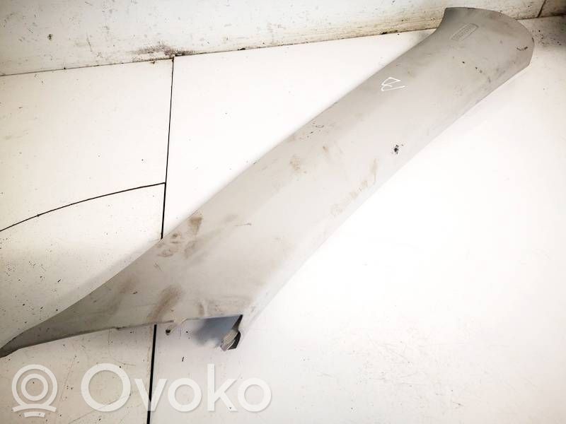 Volkswagen Tiguan Rivestimento montante (C) 