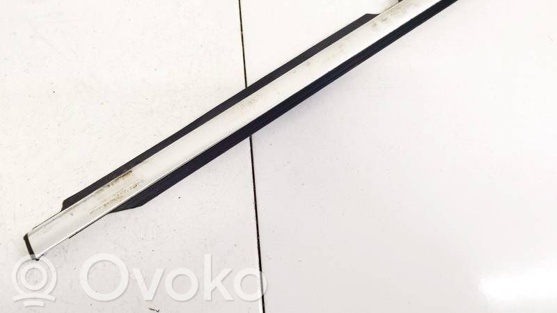Volkswagen Tiguan Listwa / Uszczelka szyby drzwi tylnych