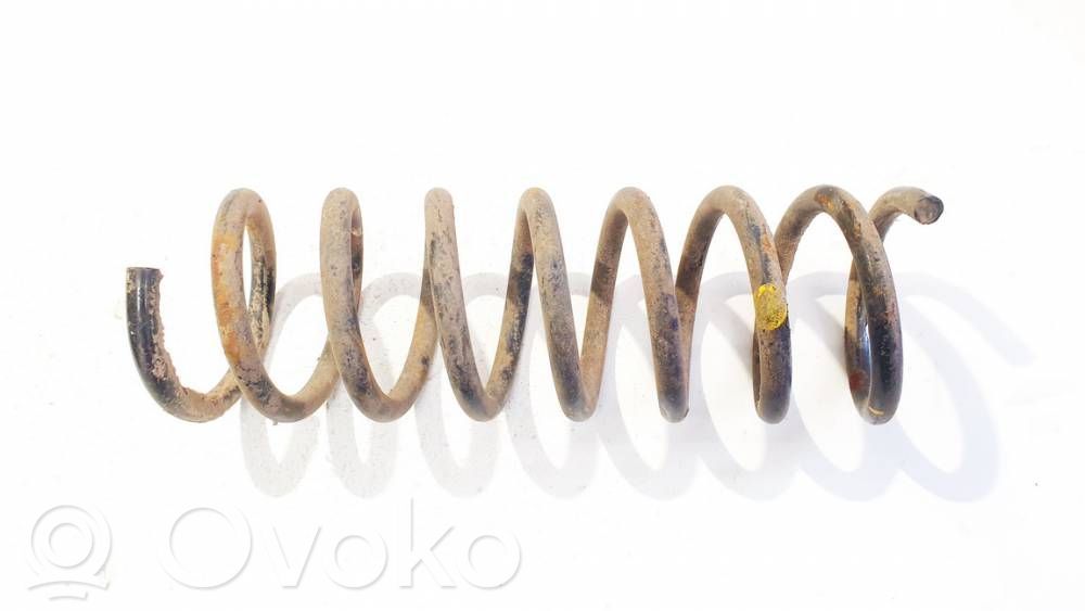 Rear coil spring