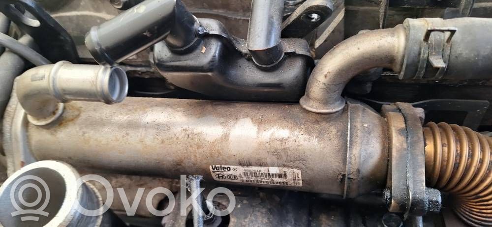 Hyundai Santa Fe Valvola di raffreddamento EGR
