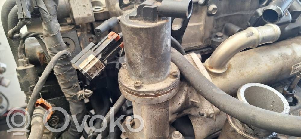 Hyundai Santa Fe Supapă EGR 