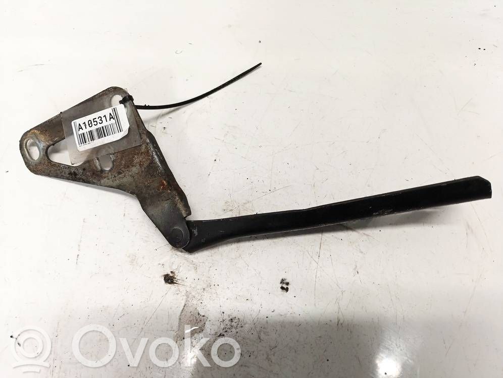 Opel Astra H Balamale capotă 