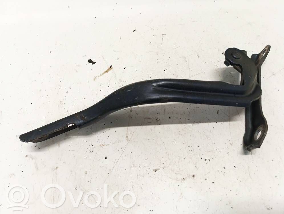 Honda Civic Balamale capotă 