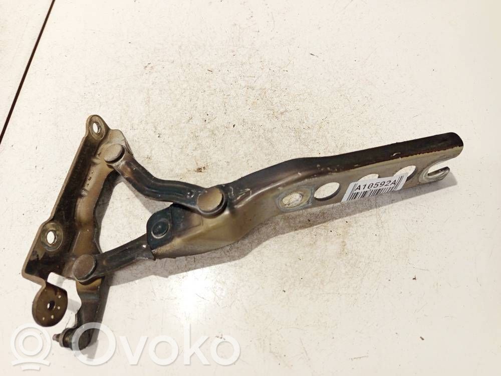 Skoda Octavia Mk2 (1Z) Cerniere del vano motore/cofano
