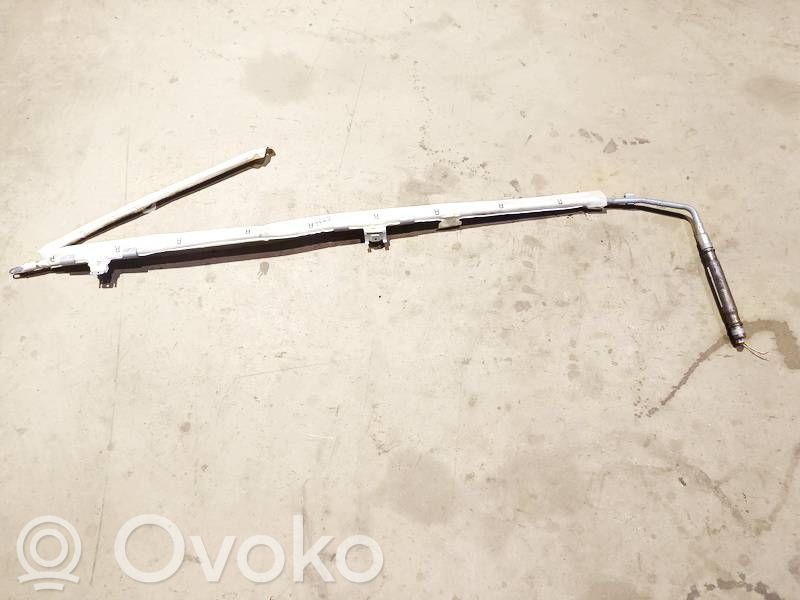 Skoda Octavia Mk2 (1Z) Airbag da tetto
