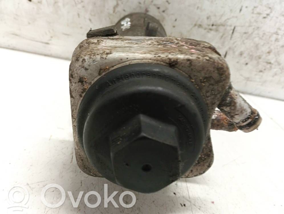 Volkswagen Polo IV 9N3 Radiatore dell’olio del motore