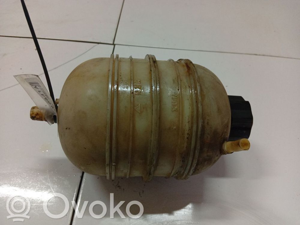 Peugeot 206 Vas expansiune/rezervor lichid de răcire