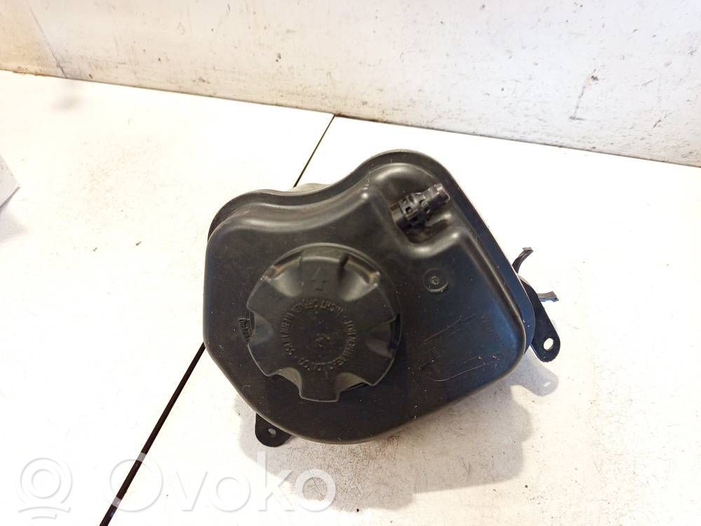 BMW X6 E71 Vas expansiune/rezervor lichid de răcire 