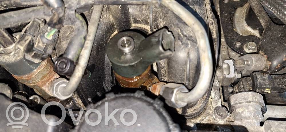Injektor Einspritzdüse   0445110259,0445110259