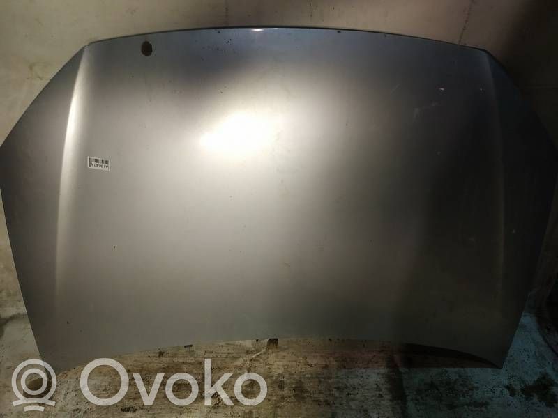 Volkswagen Polo IV 9N3 Vano motore/cofano