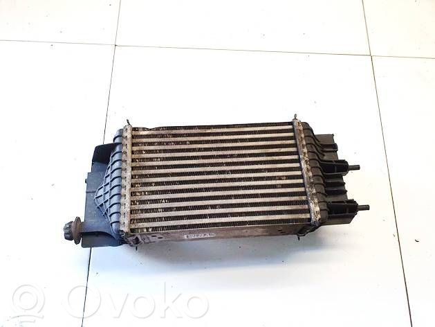 Nissan Juke I F15 Chłodnica powietrza doładowującego / Intercooler 