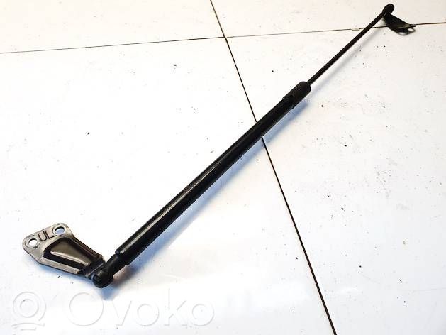 Nissan Juke I F15 Ammortizzatore portellone posteriore/bagagliaio 