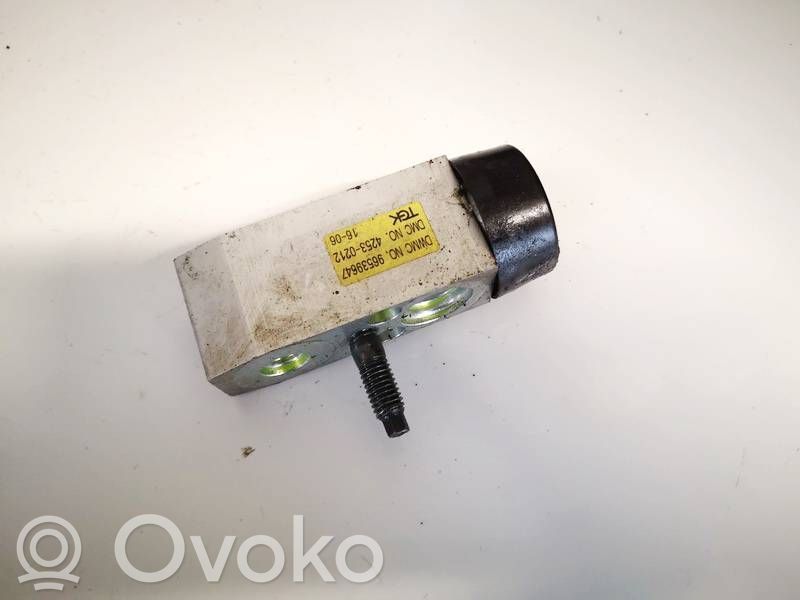 Chevrolet Kalos Ilmastointilaitteen laajennusventtiili (A/C)