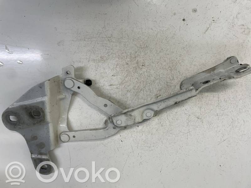 Scharnier Motorhaube   2990359,ES03,2990359,ES03