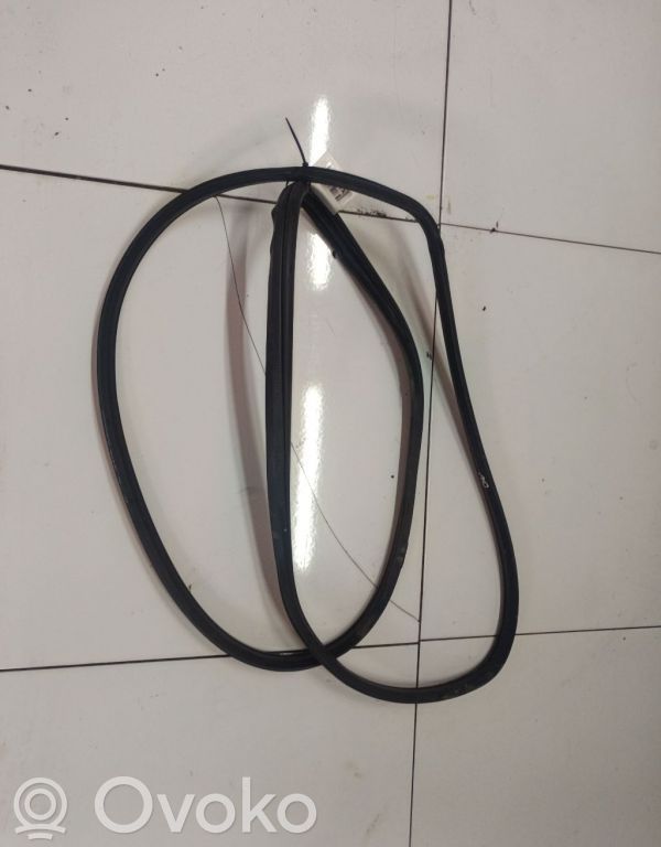Hyundai Santa Fe Cheder cauciuc ușă spate 