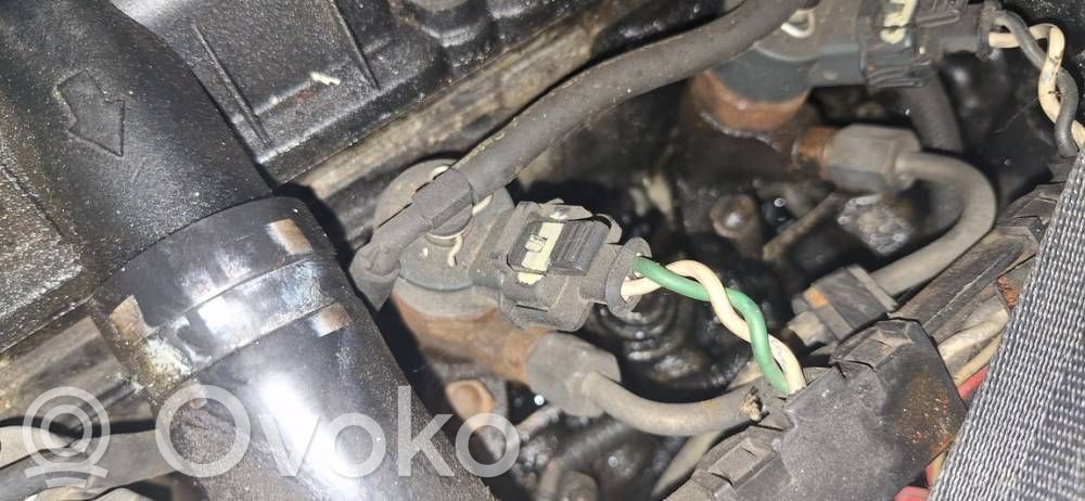 Inyector de combustible   0445110062,9640088780,0445110062,9640088780