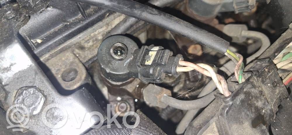 Inyector de combustible   0445110062,9640088780,0445110062,9640088780