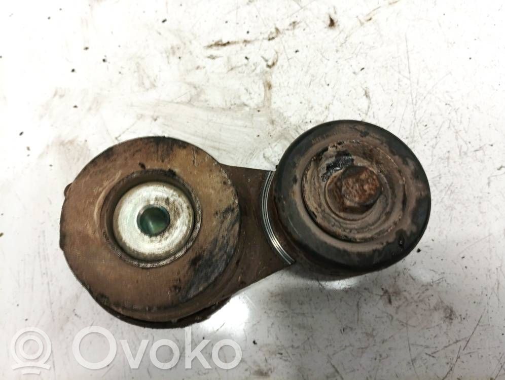 Hyundai ix35 Tendicinghia generatore/alternatore 