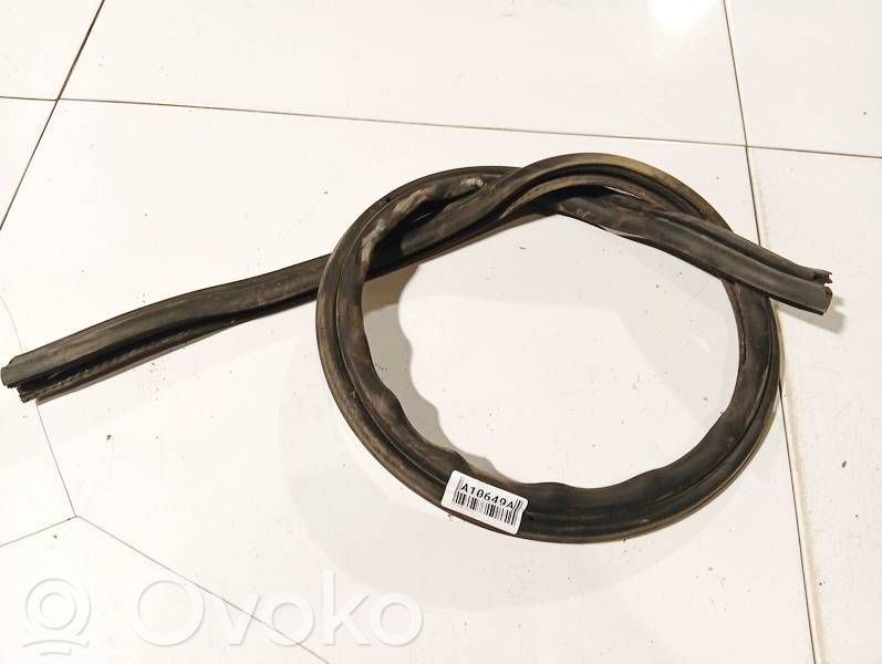 Goma del compartimiento del motor