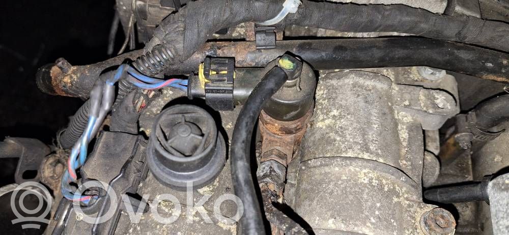 Inyector de combustible   0445110159,0445110159