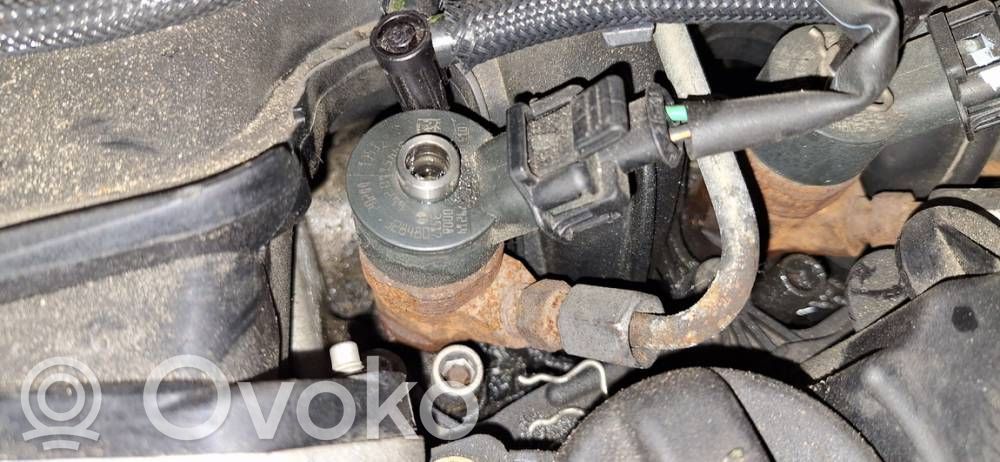 Inyector de combustible   0445110259,0445110259