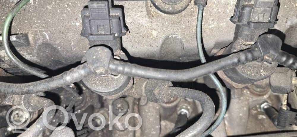 Injector combustibil   0445110021,7700111014,0445110021,7700111014