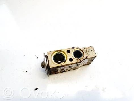 Peugeot 406 Valvola ad espansione dell’aria condizionata (A/C)