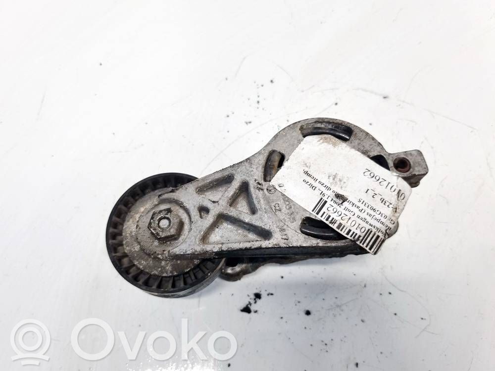 Volkswagen Golf V Tendicinghia generatore/alternatore 