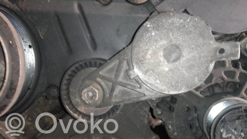 Audi A3 S3 8P Întinzător curea generator/alternator 
