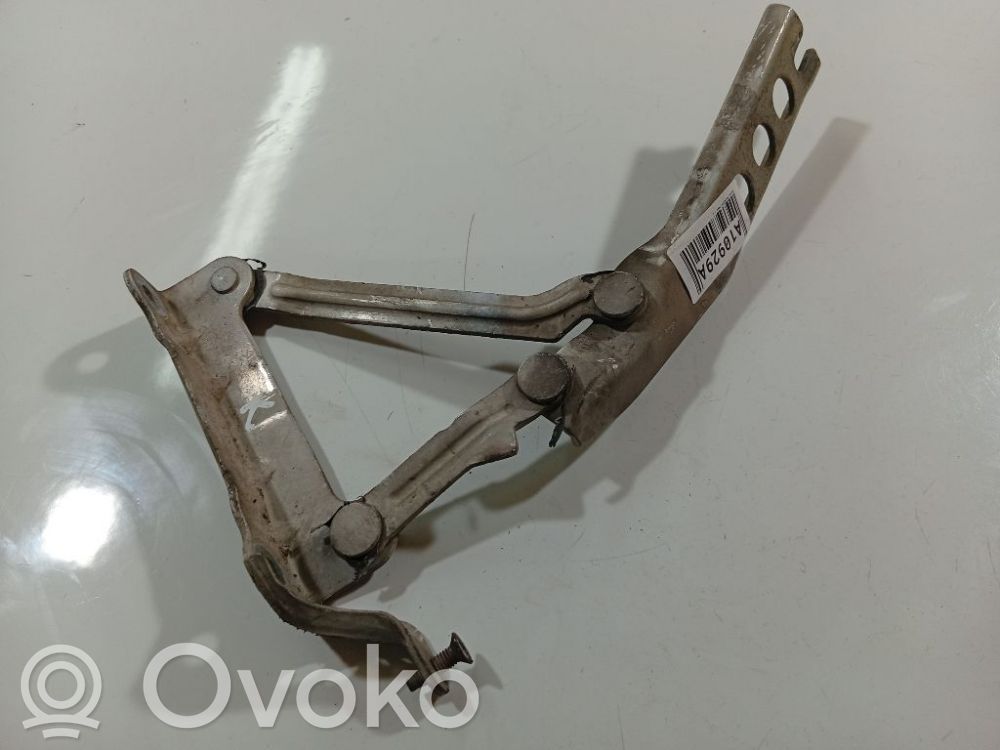 Skoda Roomster (5J) Balamale capotă 
