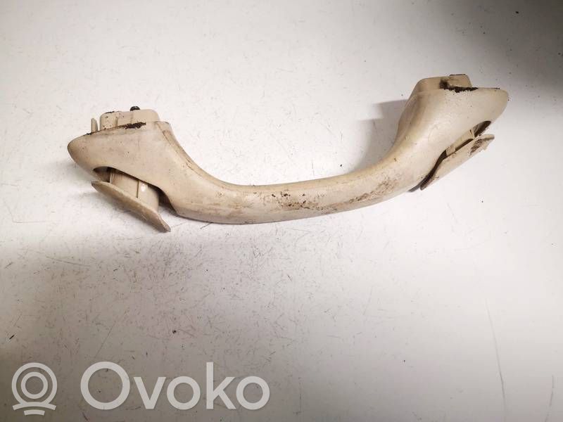 Asidero interior delantero   13550,13550