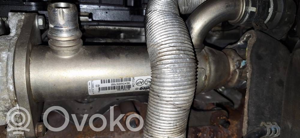 Volvo V50 Răcitor supapă EGR 