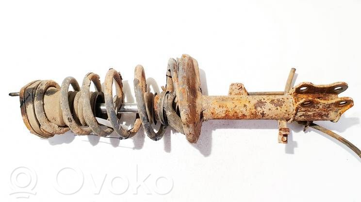 Stoßdämpfer hinten