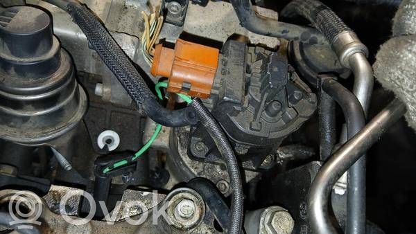 Opel Antara Valvola EGR