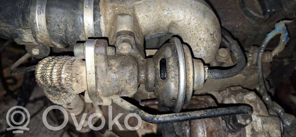 Volkswagen PASSAT B5 Valvola EGR