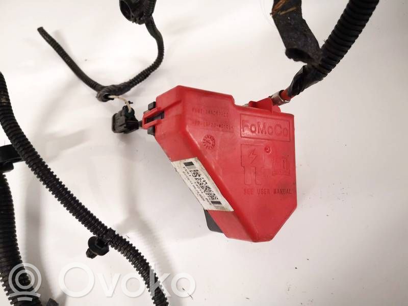 Ford C-MAX II Cable positivo (batería) 