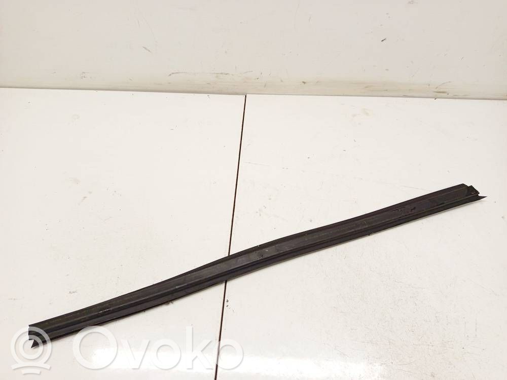 BMW X5 E53 Listwa / Uszczelka szyby drzwi tylnych 