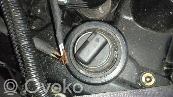 Ford Kuga III Valvola di fasatura dell’albero a camme Vanos 
