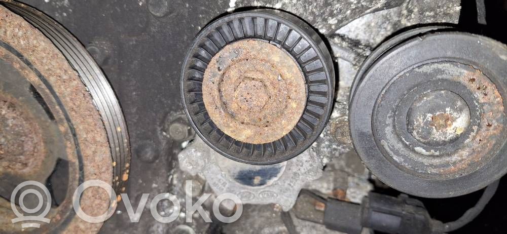 Tensor de correa del alternador   252312A000,252312A000