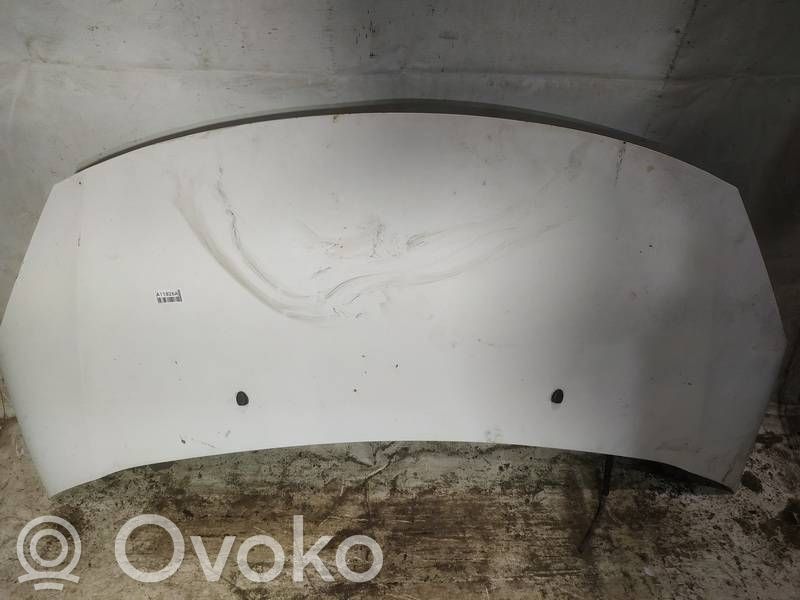 Motorhaube   BALTAS,BALTAS