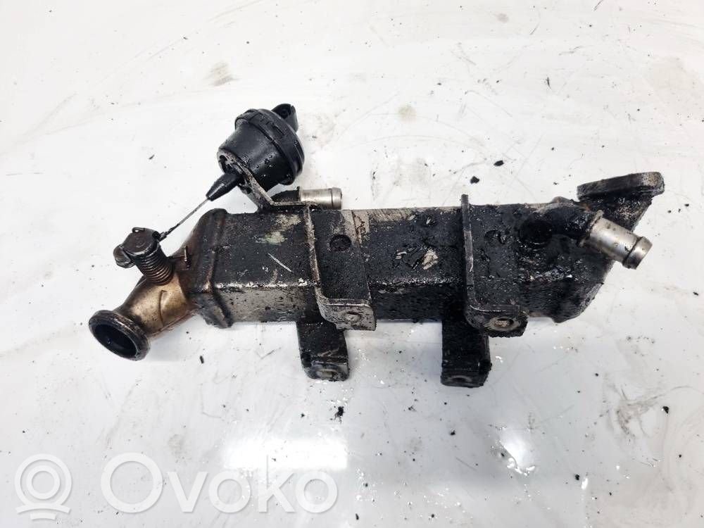 Renault Laguna III Valvola di raffreddamento EGR 