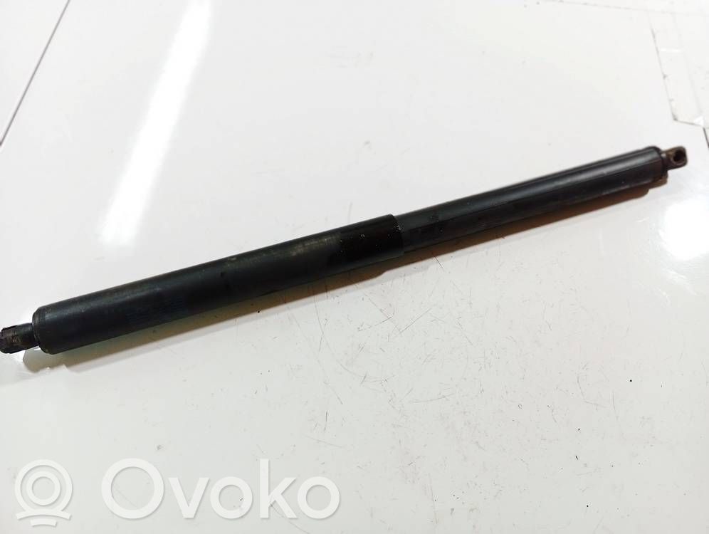 Tailgate/trunk strut/damper