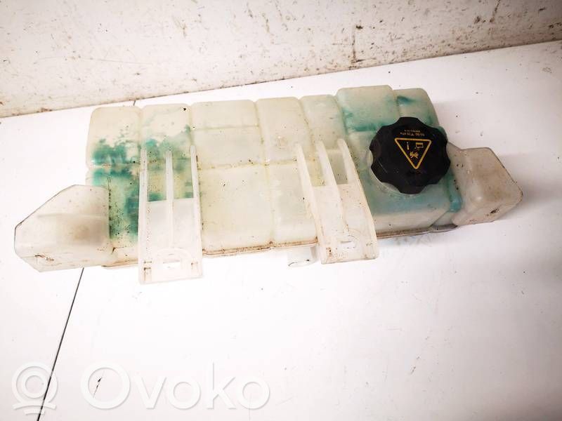 Tesla Model S Serbatoio di compensazione del liquido refrigerante/vaschetta 