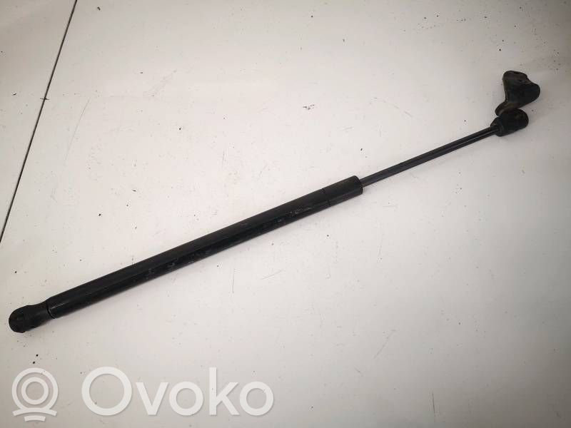 Tesla Model S Tailgate/trunk strut/damper 