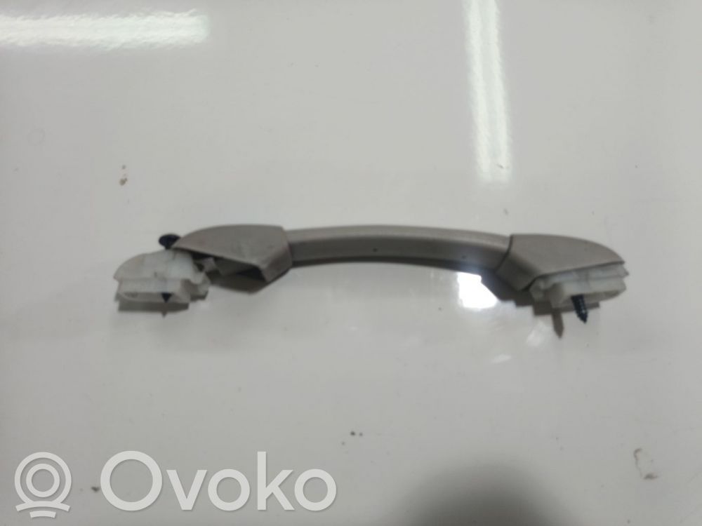 Asidero interior delantero