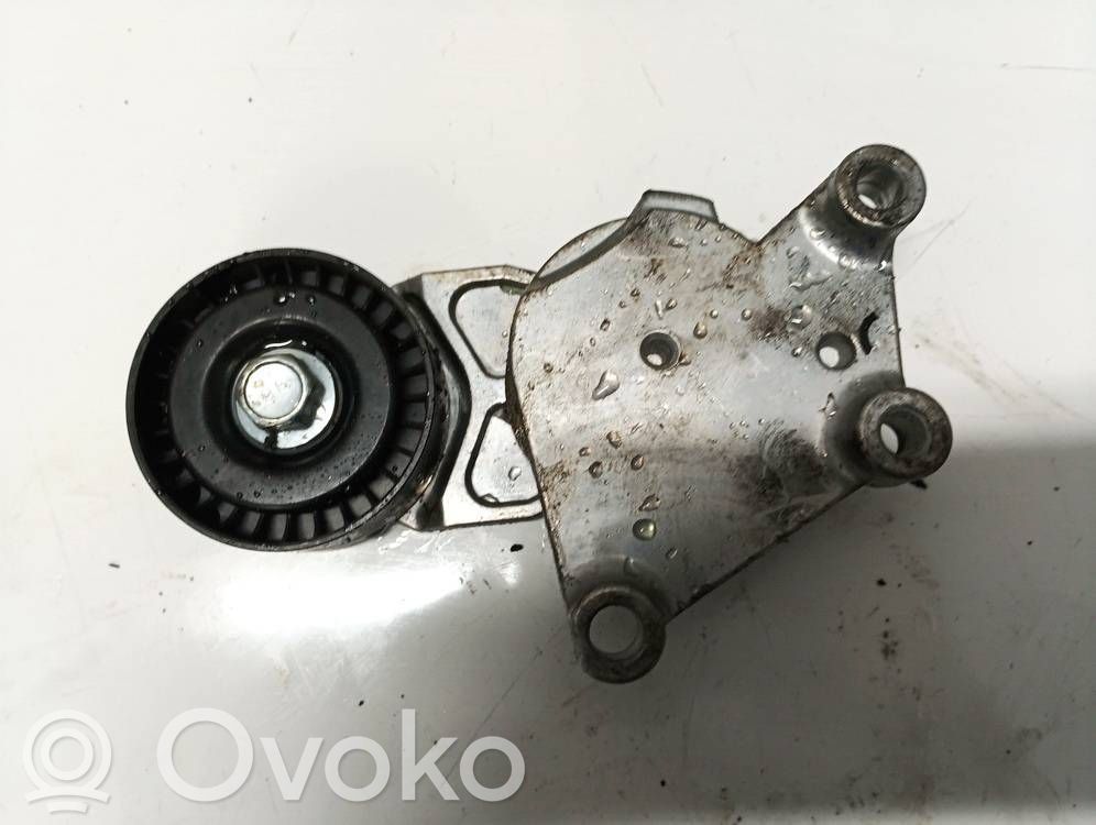 Tendicinghia generatore/alternatore   E3P0001BTA,E3P0001BTA