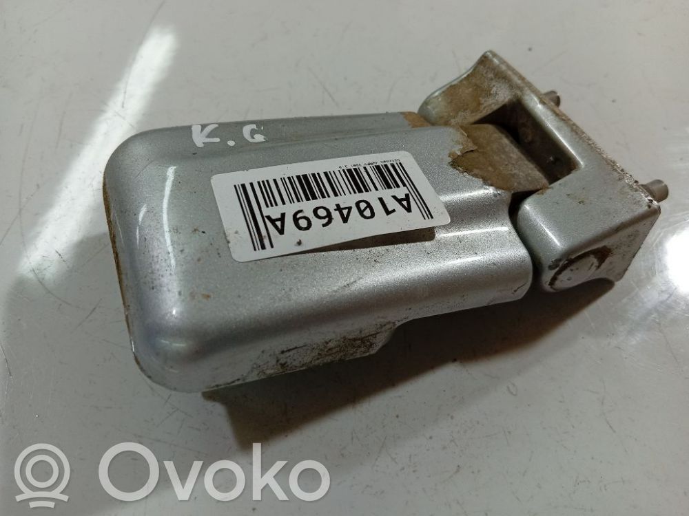 Tailgate/trunk/boot hinge   5946080,5946080,5946080