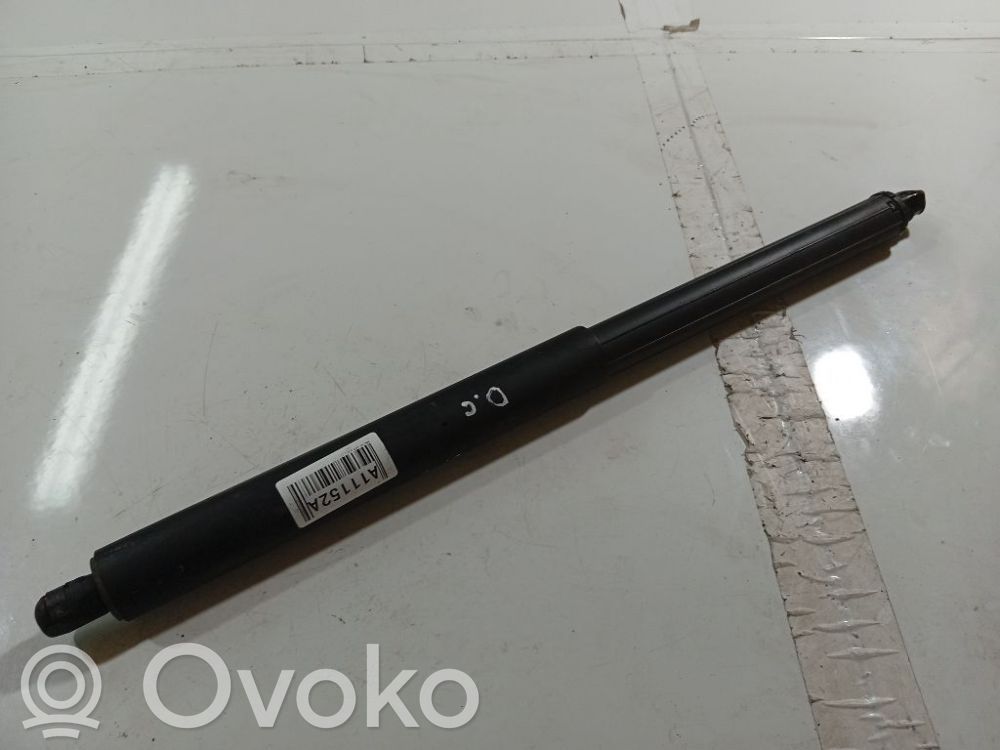 Tailgate/trunk strut/damper